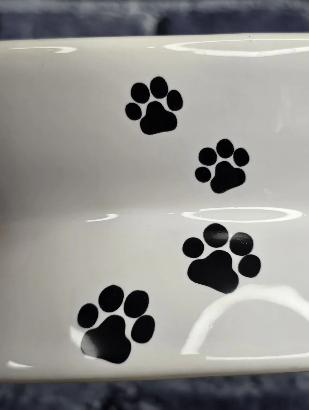 YHY Raised Tilted Ceramic Cat Bowl with Paw Prints & “Yummy!” Design